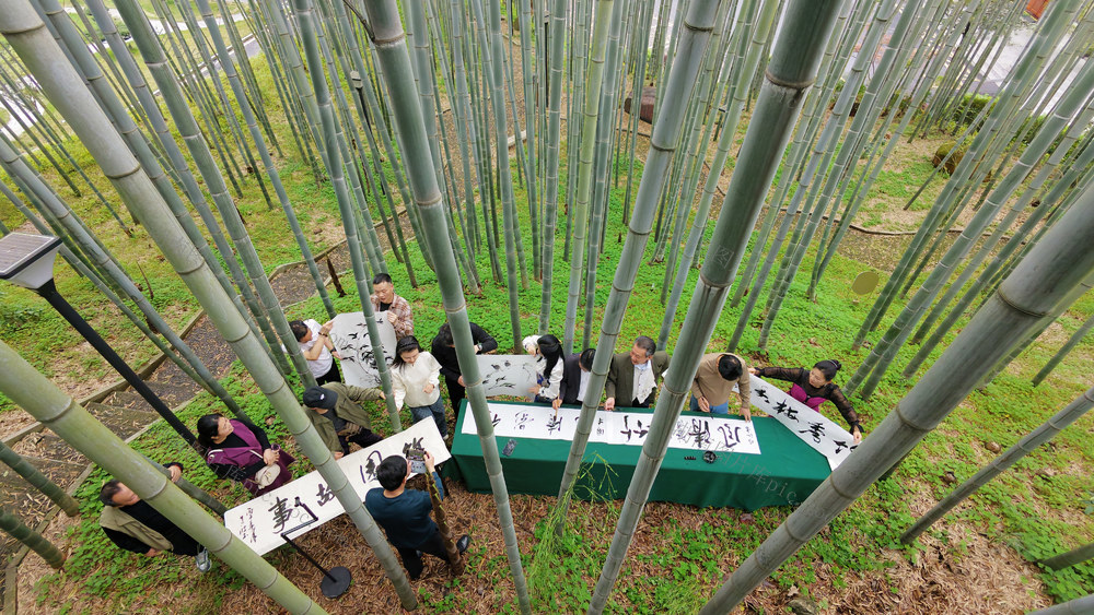 郴州  竹园雅韵  书画联谊 
 交流笔会  竹园宾馆   竹园文化艺术中心  书法  美术 
 摄影  竹子  创作  翰墨飘香  