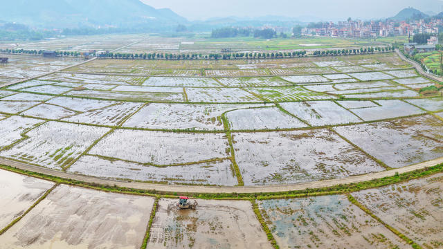 蓝山：抢农时  忙农事