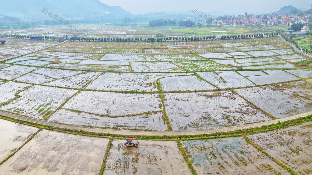 蓝山：抢农时  忙农事
