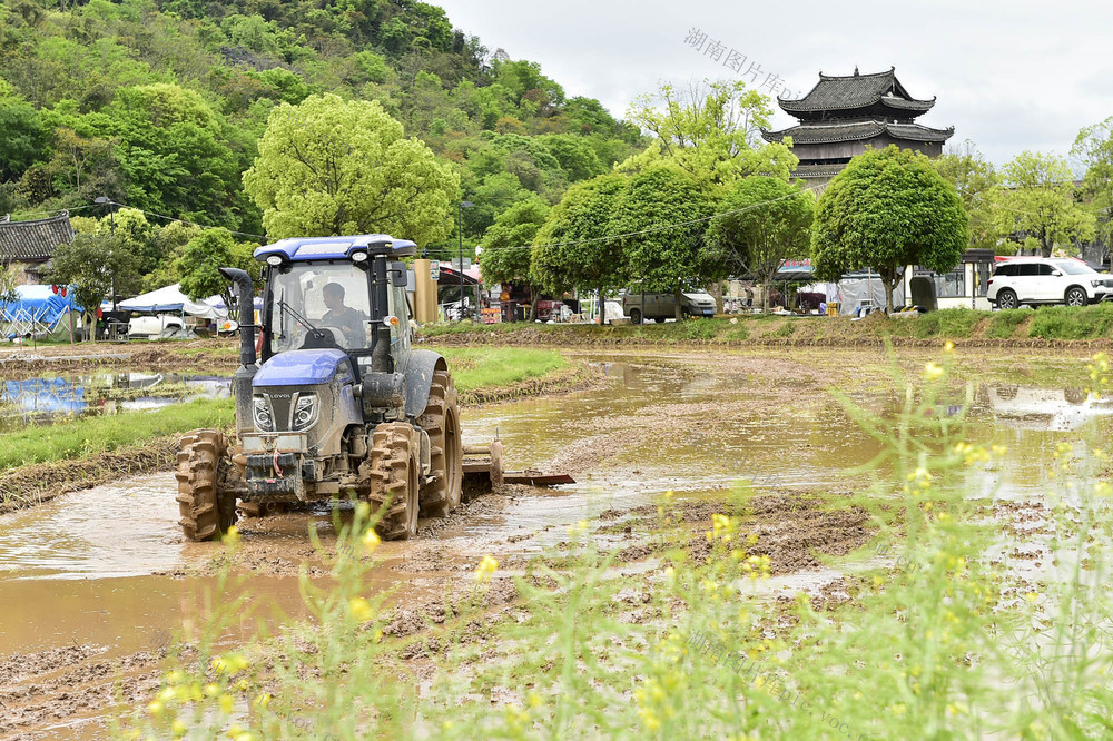 江永县 上甘棠古村  春耕生产  