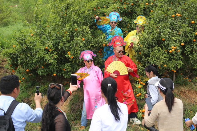 郴州市  苏仙区  坳上镇  黄泥坳村  三角铺   沃柑园  自媒体   组织  农业帮扶  直播   短视频  志愿活动  络直播  助农  助力  乡村振兴  推广  销售