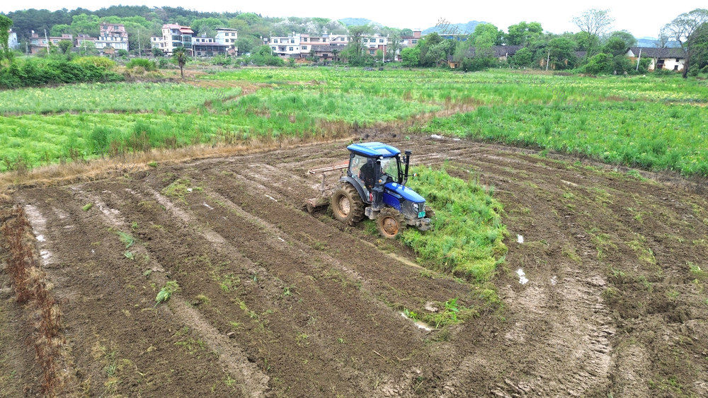 经济
农业
春耕
农机
拖拉机
田园
