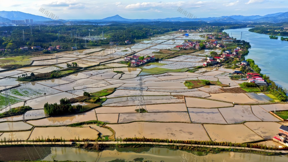 千亩碧波漾 春耕正当时