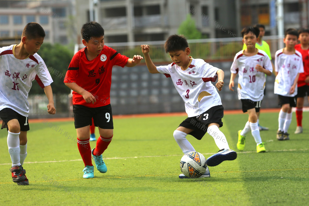 体育 绿茵场 校园足球 足球联赛 足球 运动