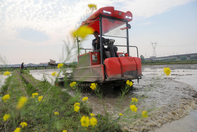 春耕 春天 农业 三农 