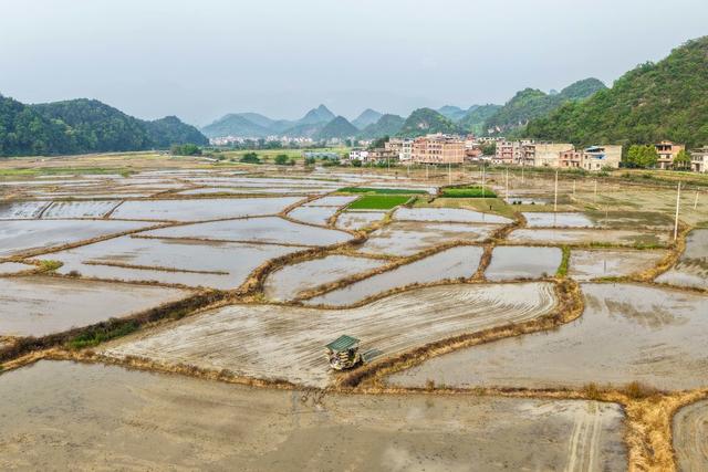 湖南道县：农机助耕保生产