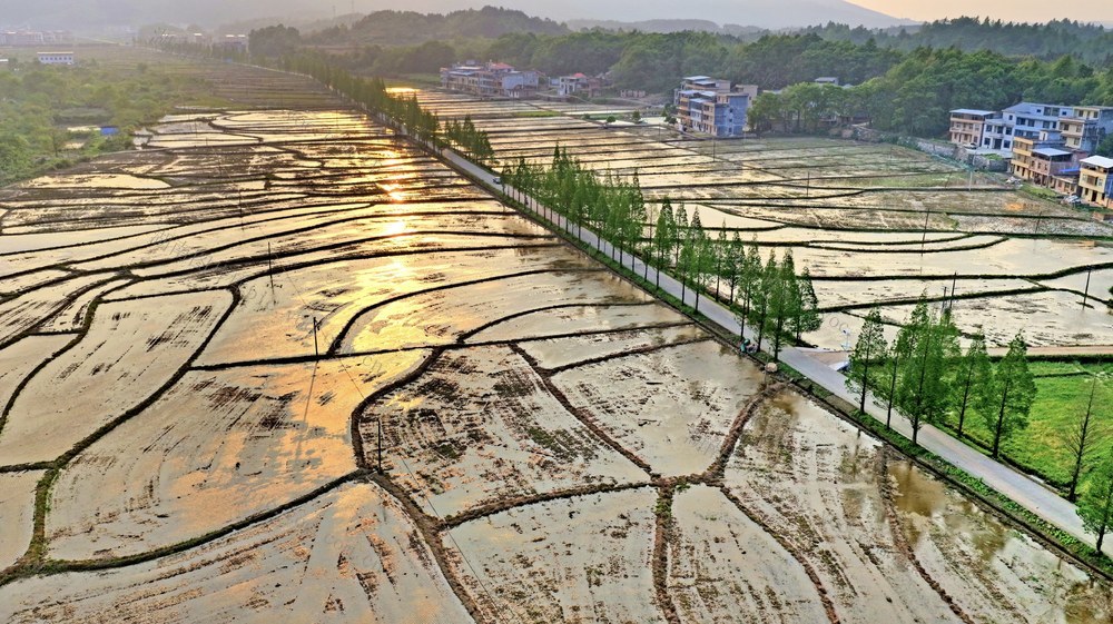  常宁 田园 村庄 夕阳 道路