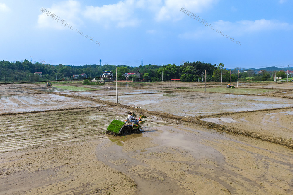 农业 粮食 早稻 机械化 春耕