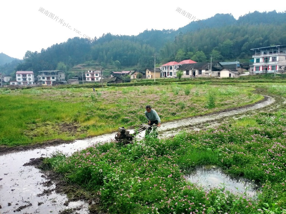 春耕 深冲 画卷