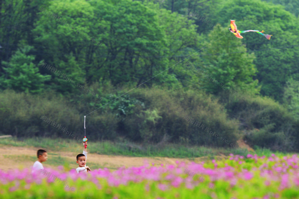 嘉禾：乐享春光