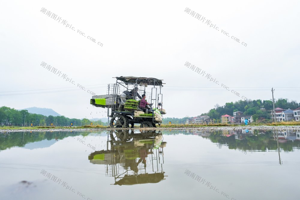 农机  机械化  春耕  抛秧机  粮食生产 