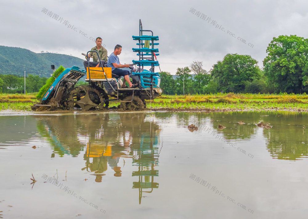 湖南道县：春耕沃野插秧忙