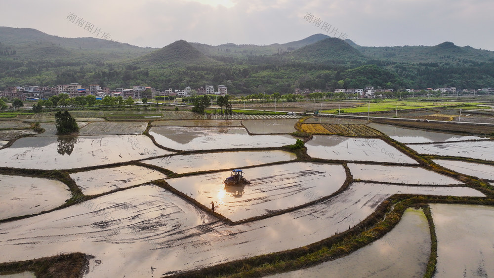 春耕  田园  农机  农事  图景