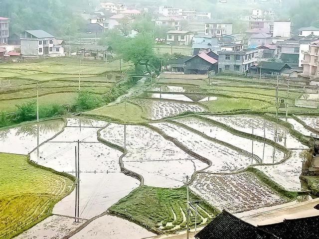 田园 梯田 画卷