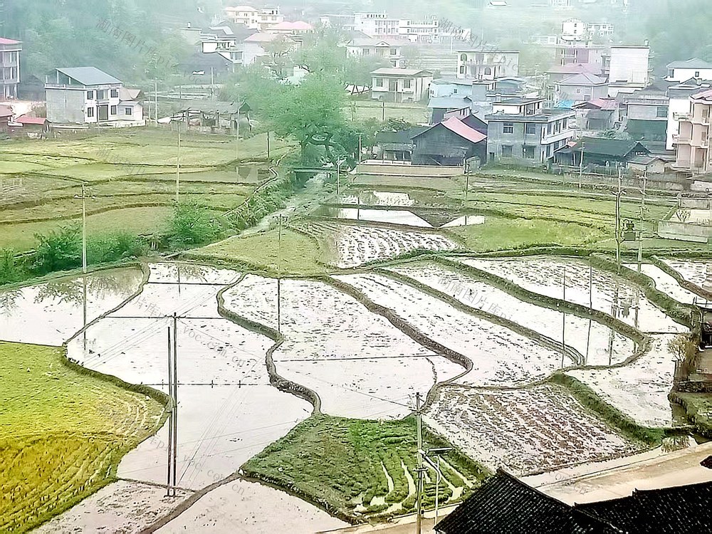 田园 梯田 画卷