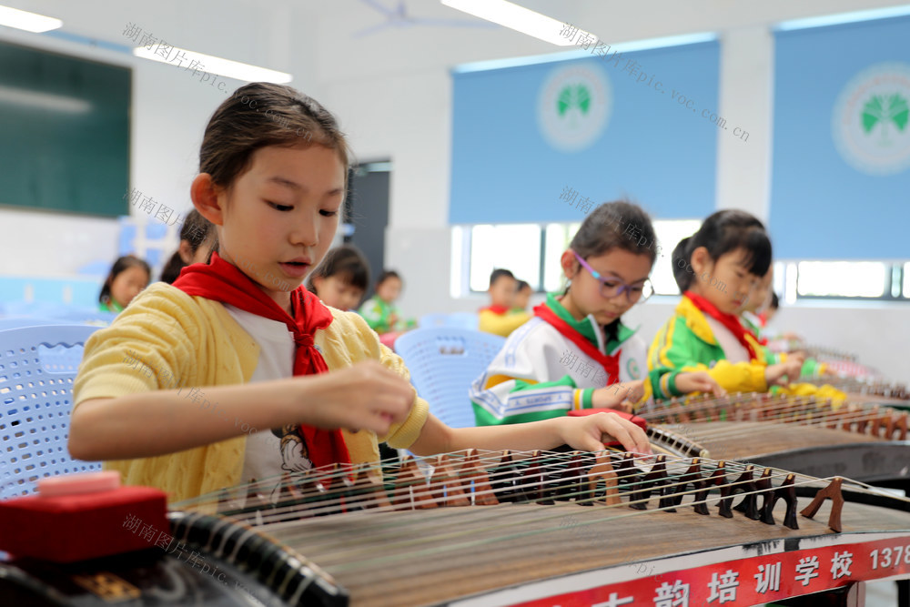 湘西 古筝 土家族 弘扬 小学 苗族 校园 鼓舞 训练 传统 文化