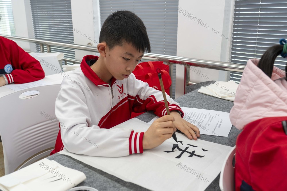 竞赛  文化  书法  法治  教育