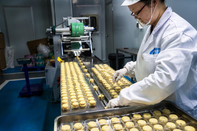 药材,,茯苓,,种植,,加工,,乡村振兴,,生态