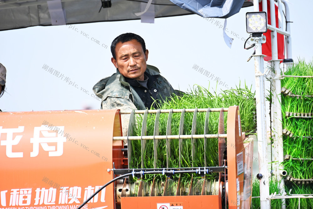 春耕  早稻  移栽  抛秧  抛秧机