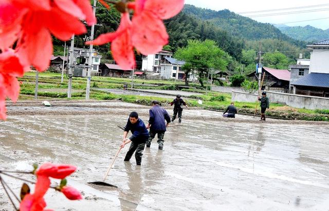 农事 谷雨 景象