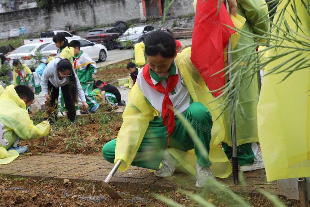 土家族 湘西 苗族 小学 菜园 共享 劳动  五育 融合 全面 发展 新时代 好少年