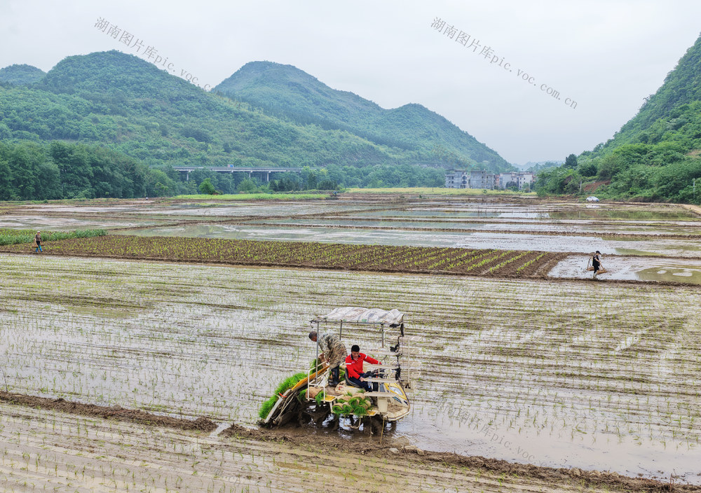 蓝山：农机插秧忙 不负好春光