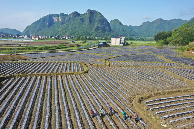 湖南，龙山，暮春，田园，晨雾，风光，劳作，画卷