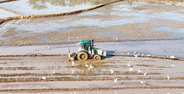  农机闹春耕