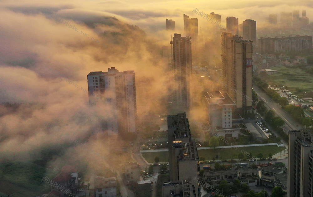 生态,春日,城建,雾,