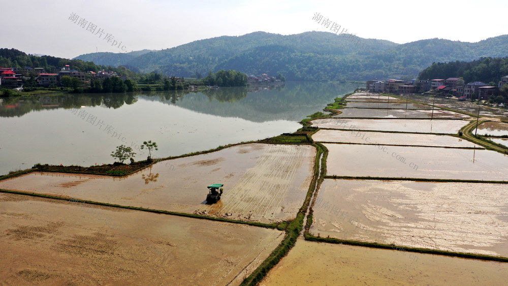 农业 农耕 春耕 农忙 插秧 施肥