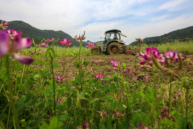 湖南，龙山，节气，谷雨，农事，春耕，春种，忙碌