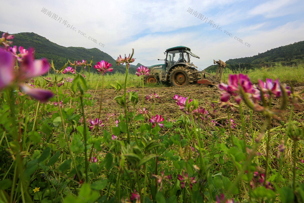 湖南，龙山，节气，谷雨，农事，春耕，春种，忙碌