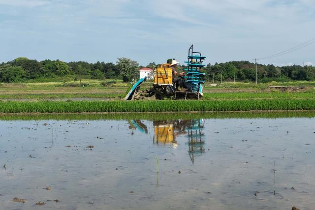 湖南道县：春耕忙