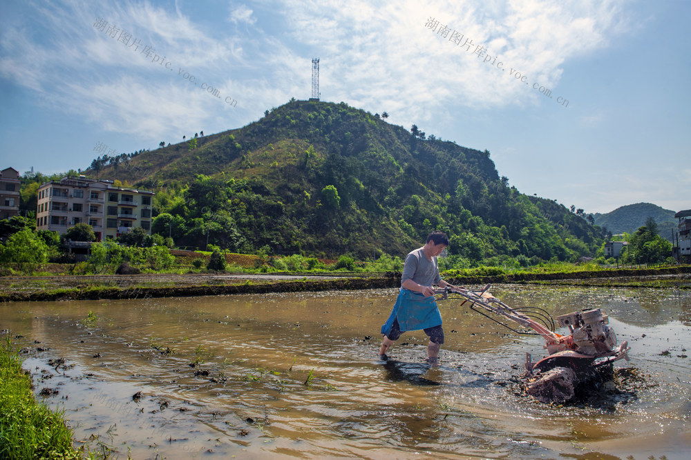 小农机    山区     小丘田块
