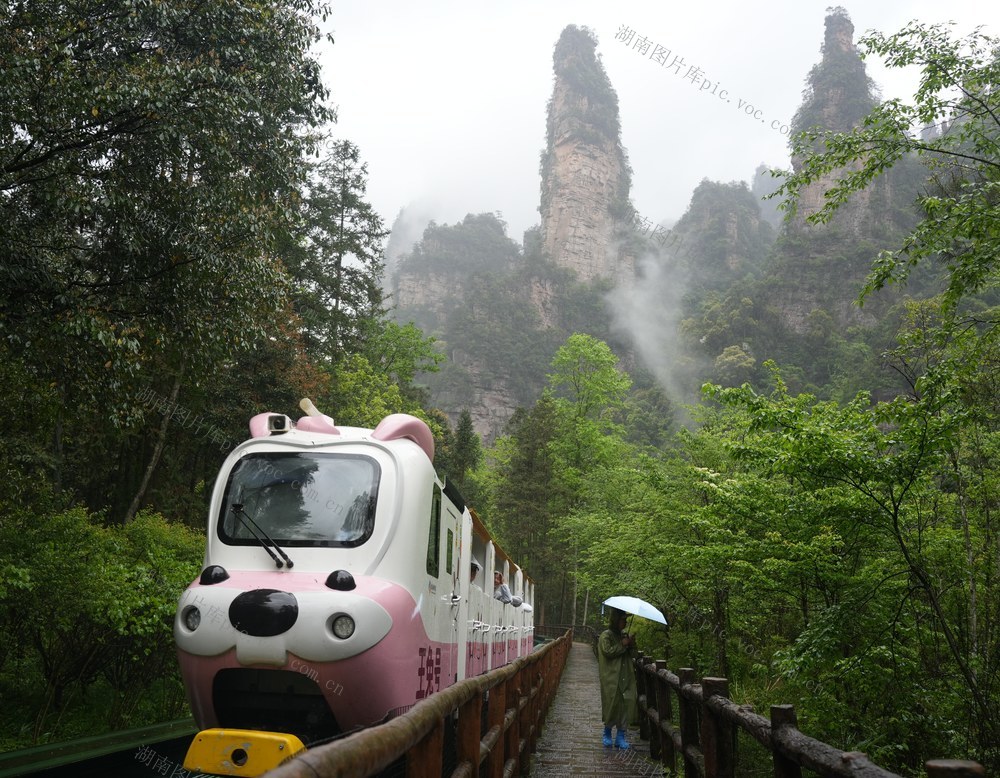 张家界、旅游、游客、生态、十里画廊