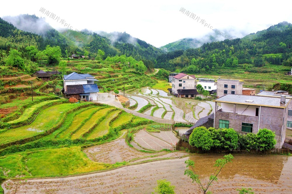 梯田 山峰 画卷