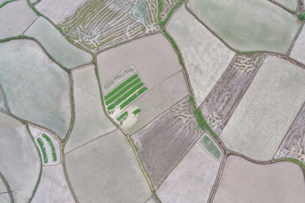 湖南道县：谷雨农忙