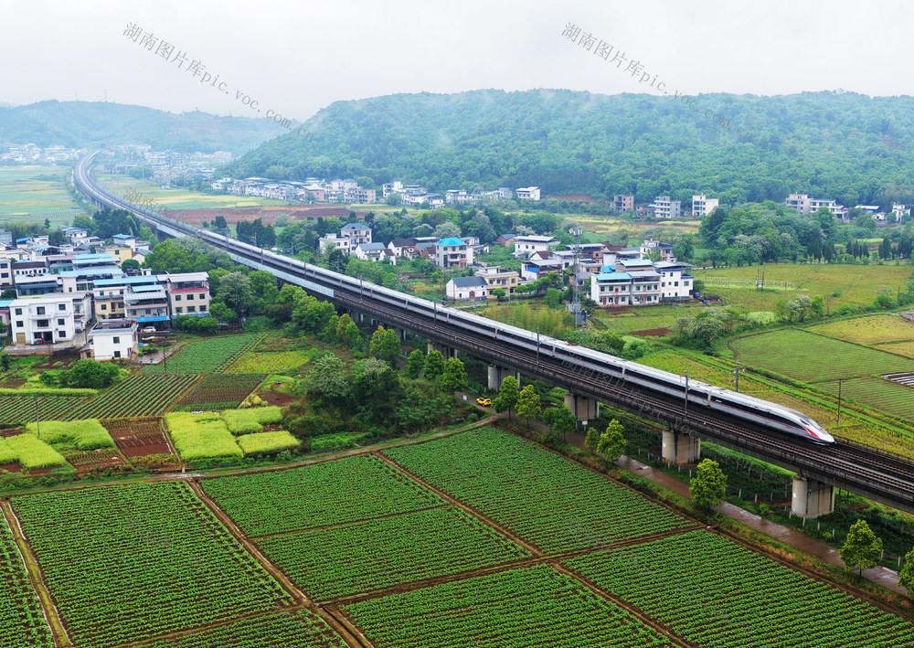 永兴：高铁田园 相映成景