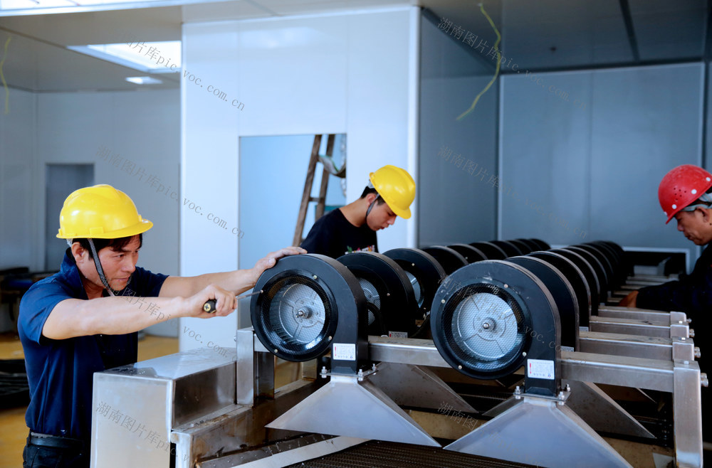 桂东、高山蔬菜精深加工、乳酸菌泡菜生产线、精工设备调试、抢抓工期、5 月中旬投产、发展加速键、延长产业链、提升农产品附加值、百人就业、高山生态蔬菜、乡村振兴