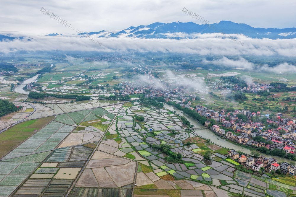湖南道县：春满田园 山野入画