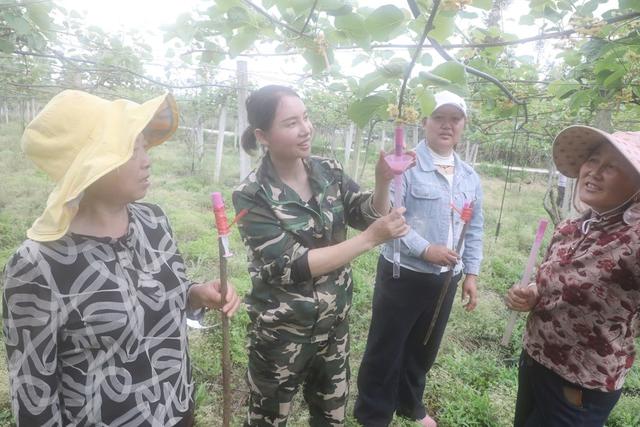“土专家”田头授技助力增收   