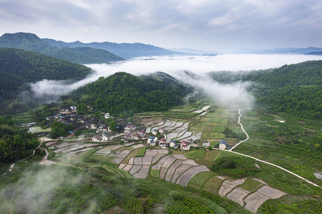 种植,,生态,,晨雾,,风景,,景区,,乡村振兴,,春色,,美丽乡村,