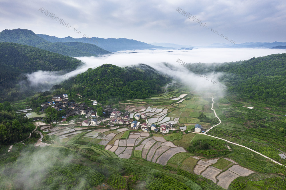 种植,,生态,,晨雾,,风景,,景区,,乡村振兴,,春色,,美丽乡村,