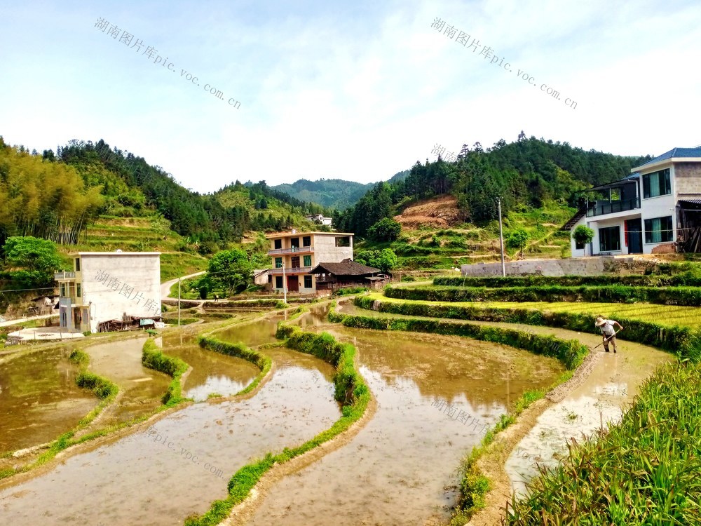 风光 梯田 山峰