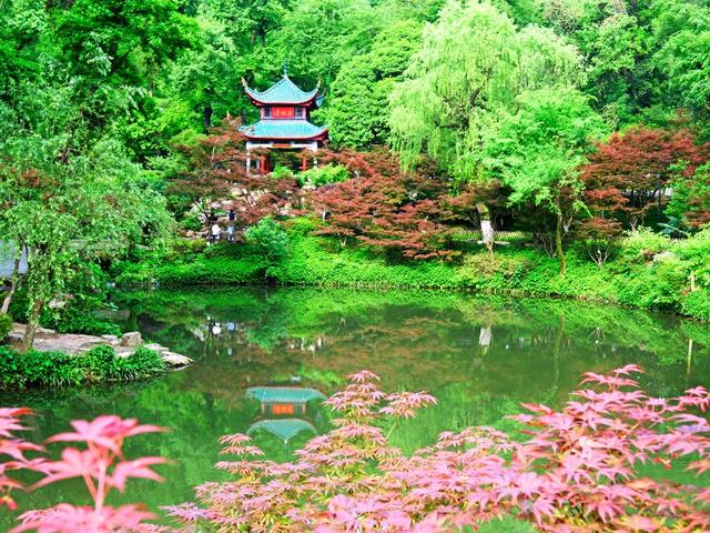 爱晚亭，春意盎然