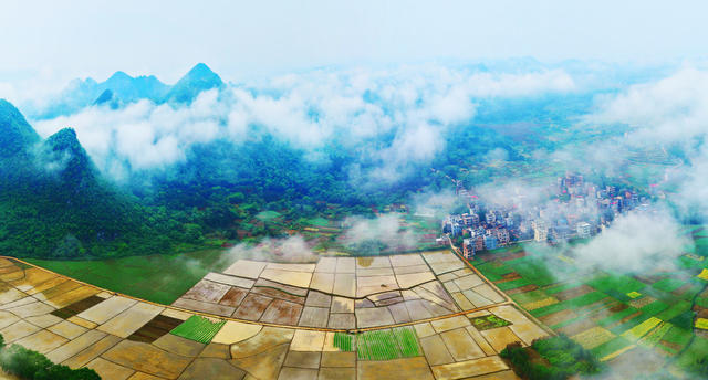 嘉禾：生态乡村春光美