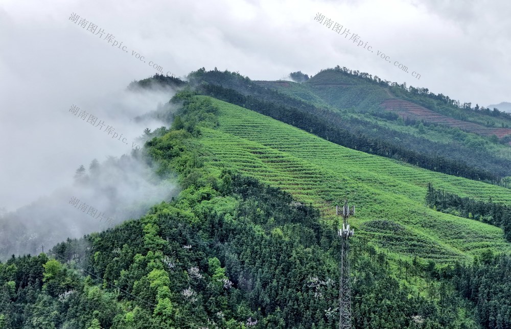 常宁 湿地公园 青山 碧水 云雾 美景