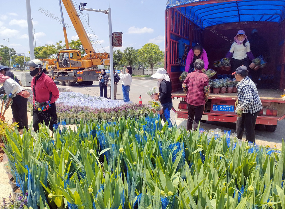 强劲文旅，发展经济