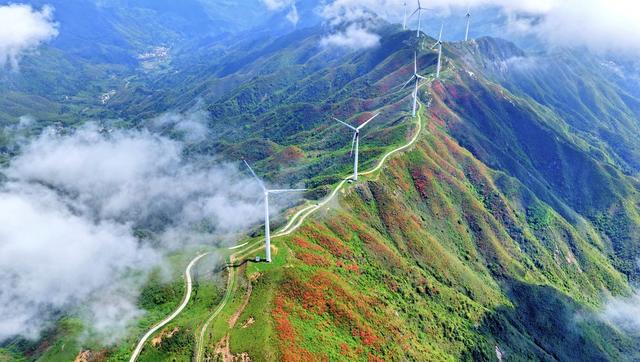 常宁 桂阳 杜鹃 风车 蓝天白云 美景
