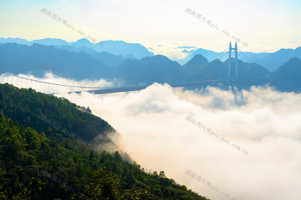 云海景观   大桥如画